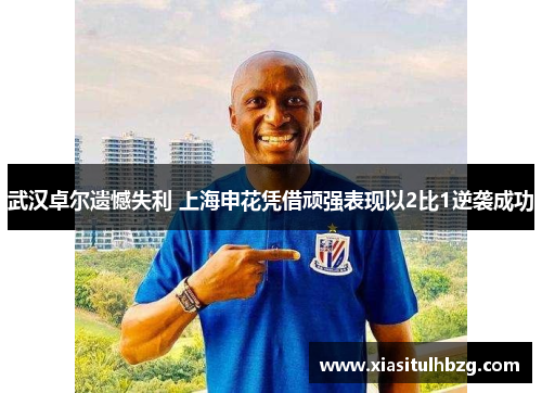 武汉卓尔遗憾失利 上海申花凭借顽强表现以2比1逆袭成功