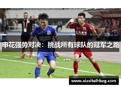 申花强势对决：挑战所有球队的冠军之路