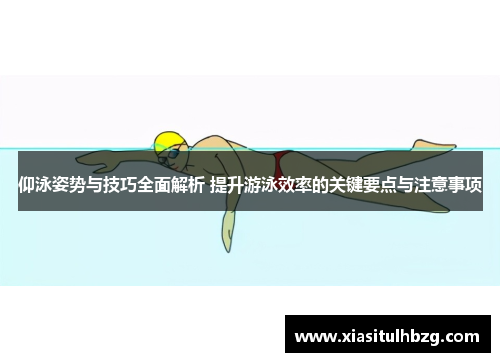仰泳姿势与技巧全面解析 提升游泳效率的关键要点与注意事项