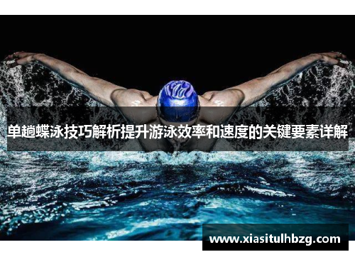 单趟蝶泳技巧解析提升游泳效率和速度的关键要素详解