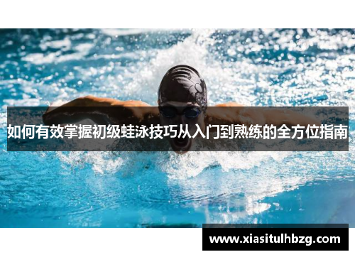 如何有效掌握初级蛙泳技巧从入门到熟练的全方位指南