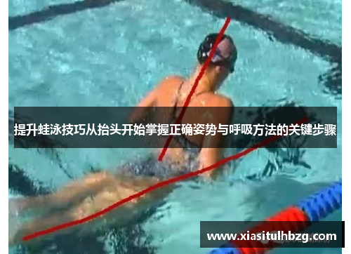 提升蛙泳技巧从抬头开始掌握正确姿势与呼吸方法的关键步骤